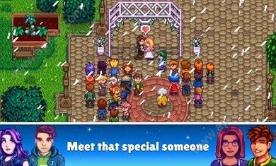 星露谷物语中文版手机下载  v1.25图1