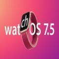watchOS 8 Beta描述文件