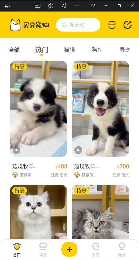 买只宠物安卓版图1