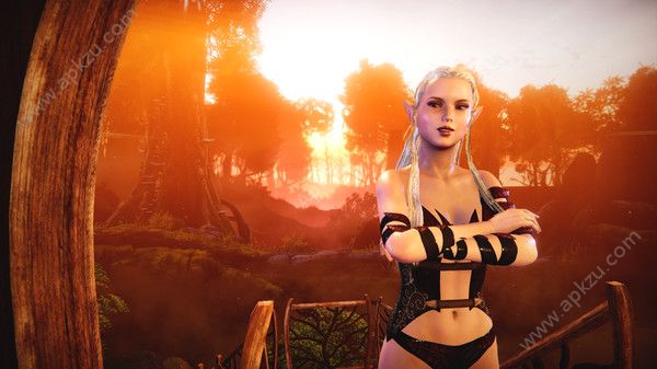 精灵之恋手机版图2