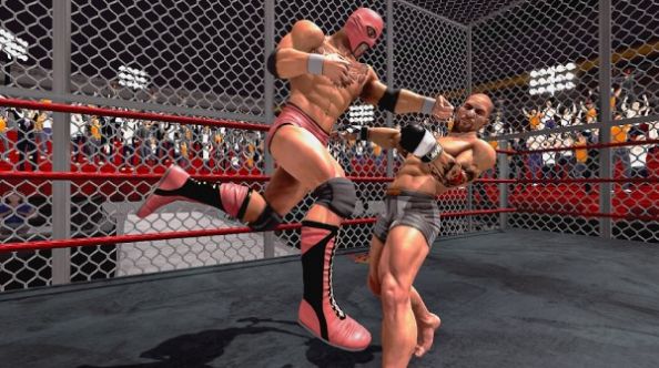 拳击拳手游戏安卓手机版  v1.0图4