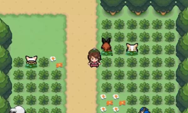 口袋妖怪剑盾gba2021最新版本汉化安装包  v4.0.0图3