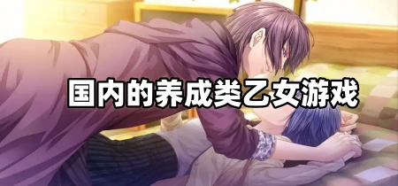 国内的养成类乙女游戏