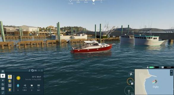 海豹模拟器游戏图1