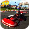卡丁车3D金币中文安卓版  v1.0