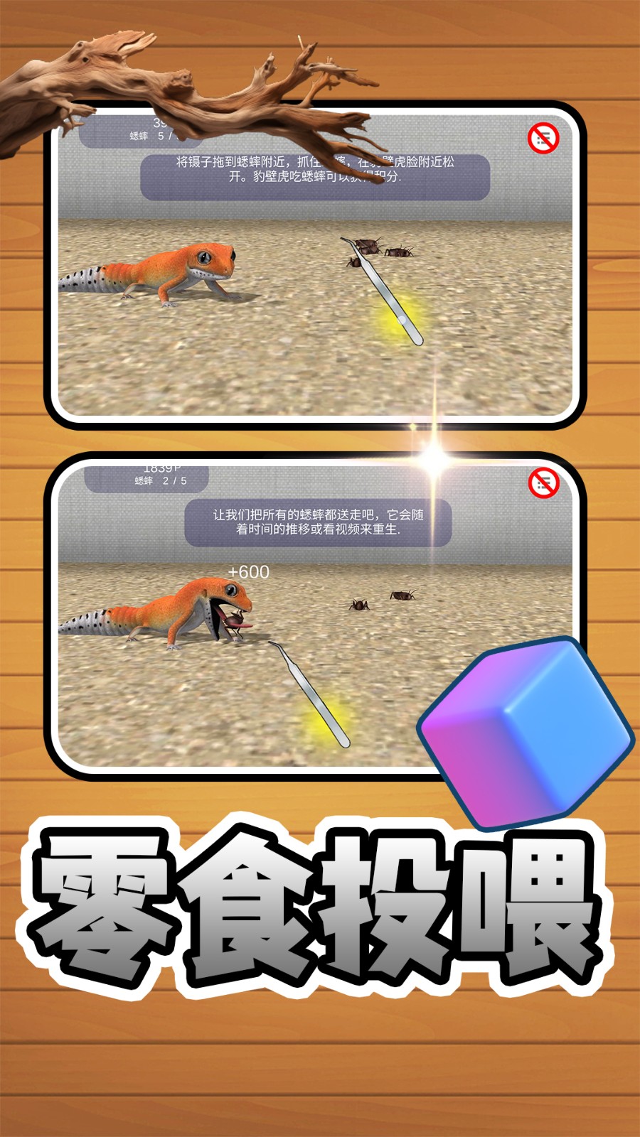 萌宠成长日记图4