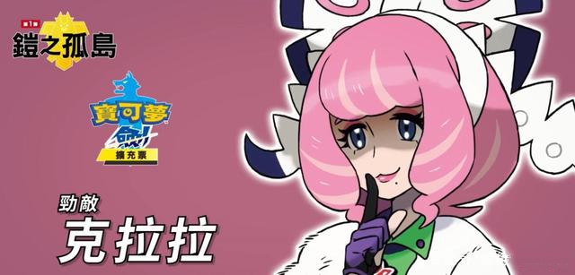 宝可梦剑盾铠之孤岛游戏图1
