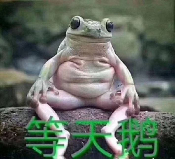 小天鹅我馋你了动图图4