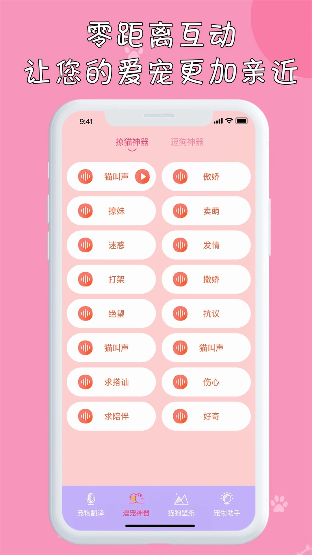 小猫图1