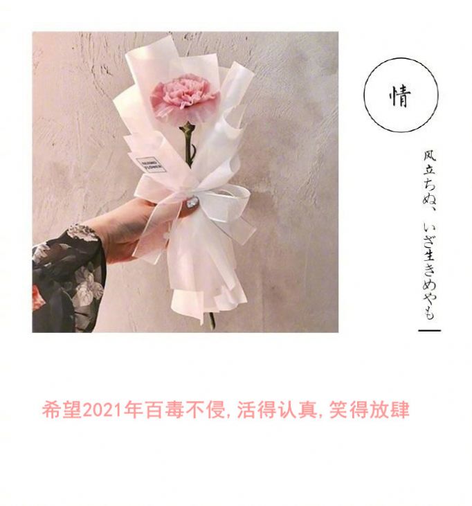 朋友圈背景图希望2021年百毒不侵图1