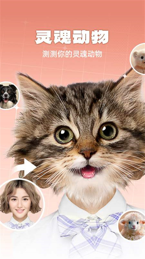 灵魂宠物图1