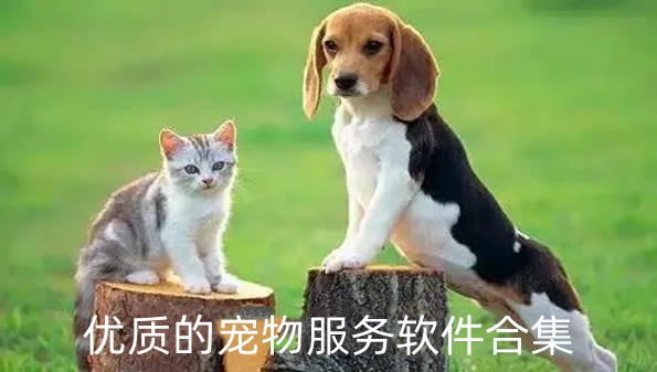 优质的宠物服务软件合集