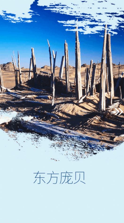 民丰好地方APP图2