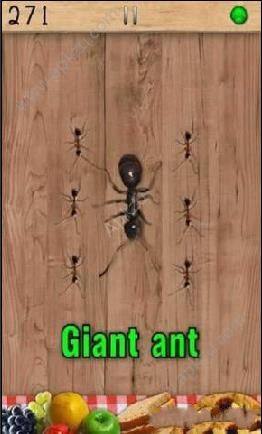 打蚂蚁安卓版图4