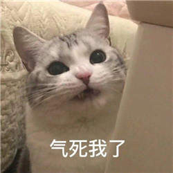 气死我了表情包柴犬咬笼子图4