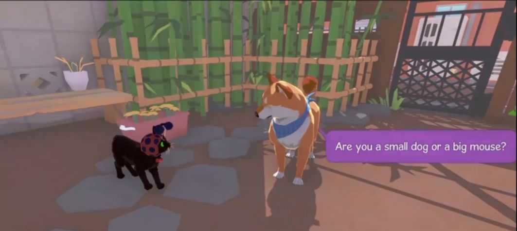 大城小猫模拟器图2