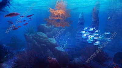 口袋VR水族馆游戏图2