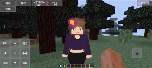 珍妮模组魅魔包3.0版本图5