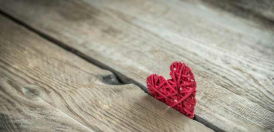 山楂岛秘密花园留言app合集