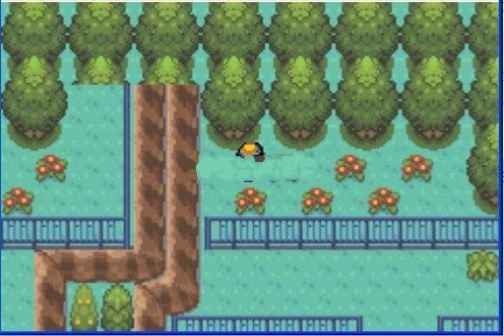 口袋妖怪极光石2.5a完全攻略金手指安卓版  v1.0.0图3