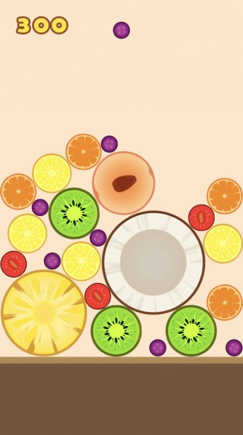 攒个大西瓜游戏图3