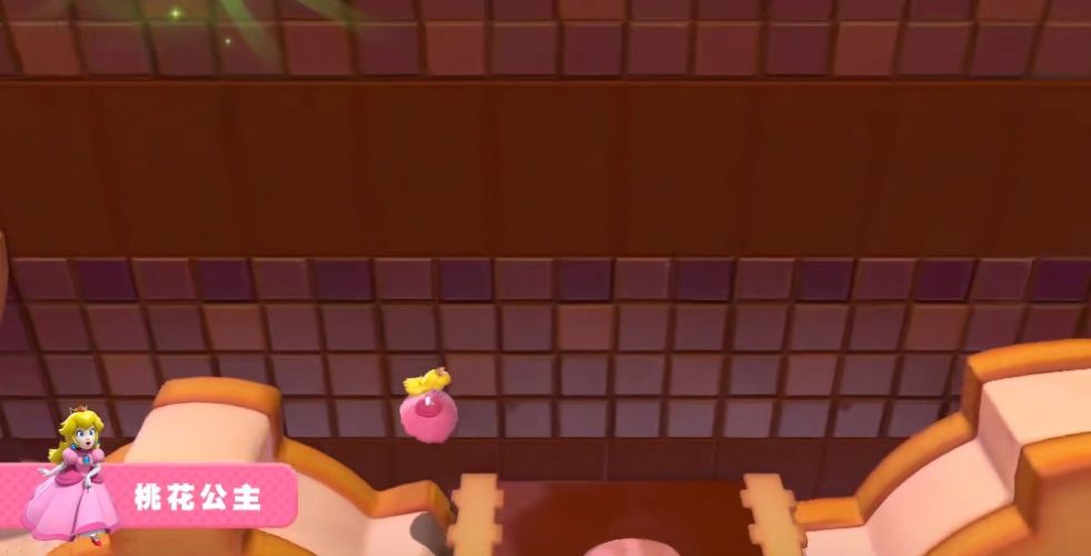 马里奥狂怒世界双人版图3