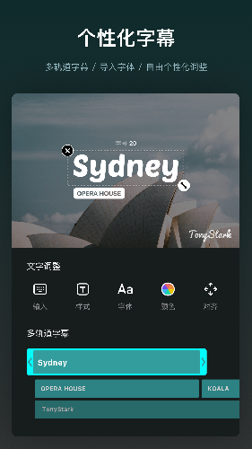 vn视频剪辑最新版图5