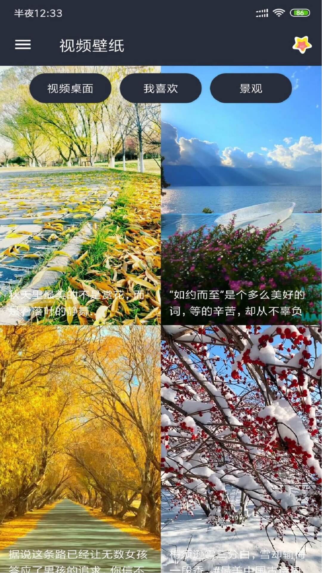 视频壁纸手机版图3