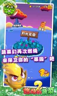 燃烧的蔬菜1图1