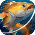 疯狂垂钓人金币安卓版  v5.7.5
