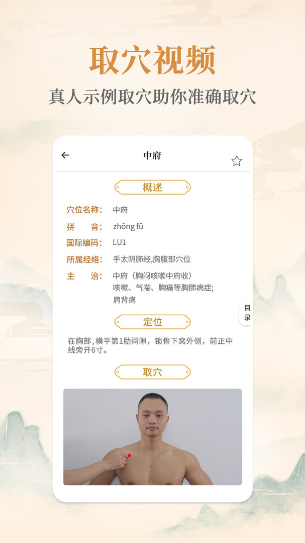 经络穴位标准指南图4