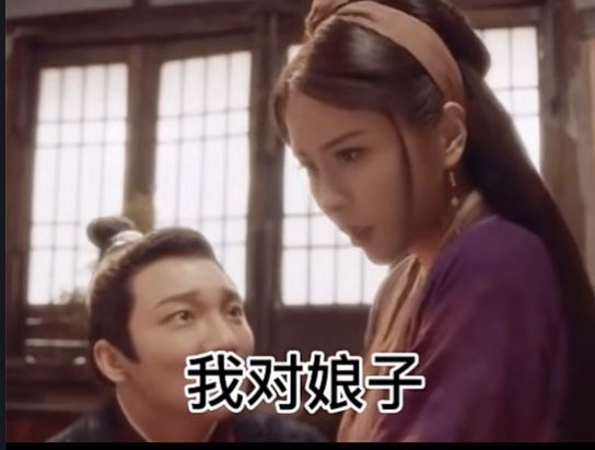 那日一见娘子我对娘子就念念不忘表情包图4