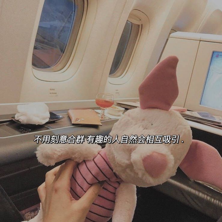 一岁一礼一寸一欢喜图片图1