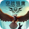 空战猎鹰游戏