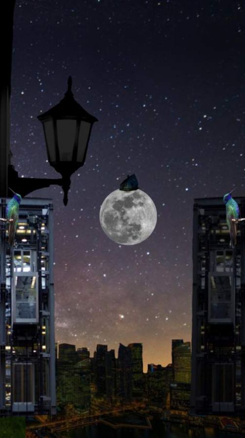 无梦房间中文版图2