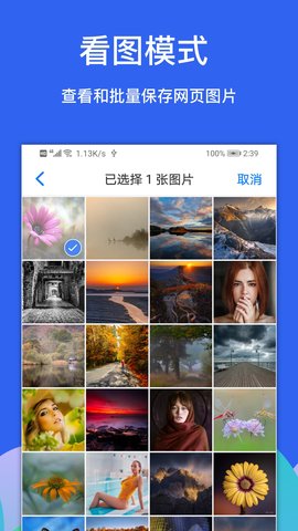 Alook浏览器图4