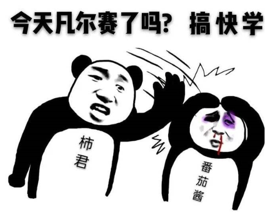 凡尔赛文学表情包图4