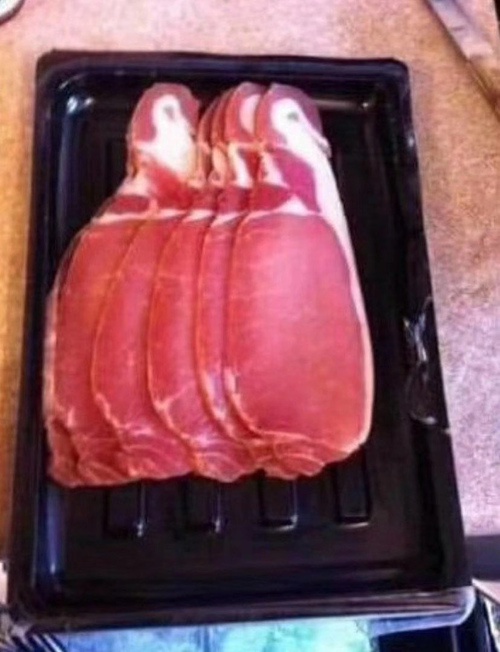 笑死企鹅肉表情包图1