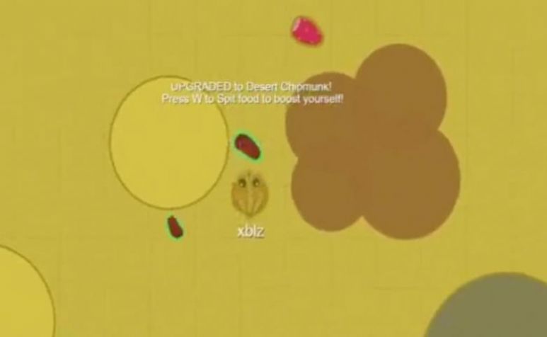 海洋生物进化游戏图1