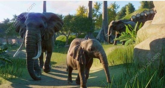 动物园之星手机版下载中文版安装包  v1.0.13图1