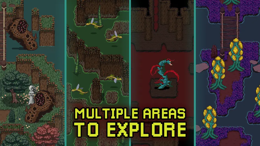 深入萨莫莫镇图2