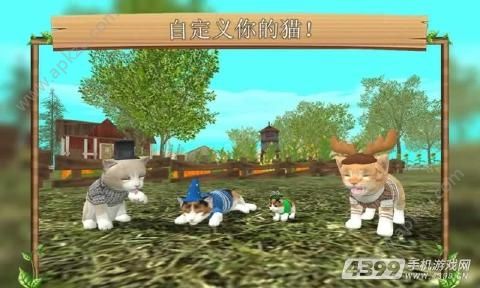 猫咪生存模拟器中文汉化版图1