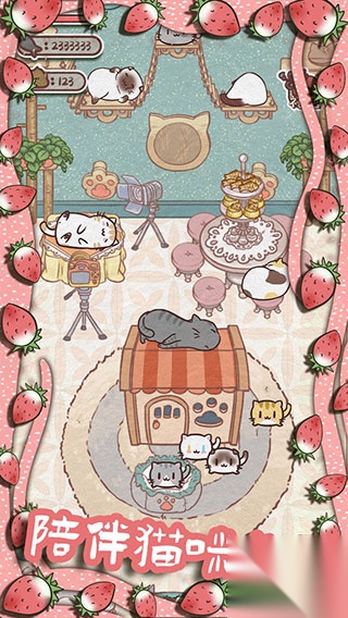 开心猫舍图3