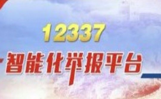 12337政法干警智能举报平台图3