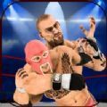 真实摔跤对战2020游戏