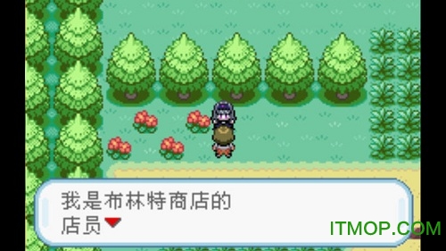 口袋妖怪火红叶绿手机版图1