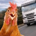 chicken simulator crossy road游戏