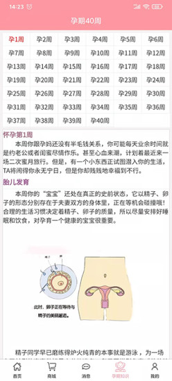 孕婴安孕妇端app官方版手机下载  v2.0.9图3