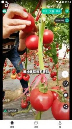 彼方短视频app图1