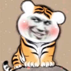 最近很火的老虎表情包图3